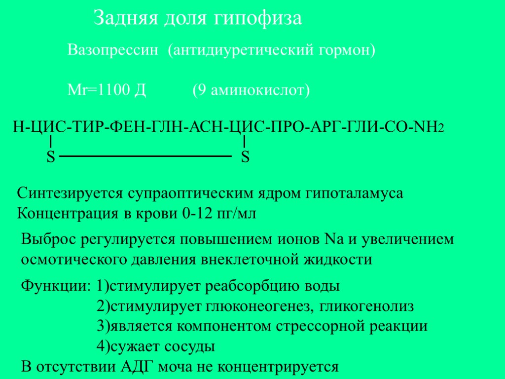 Задняя доля гипофиза Вазопрессин (антидиуретический гормон) Мr=1100 Д (9 аминокислот) Н-ЦИС-ТИР-ФЕН-ГЛН-АСН-ЦИС-ПРО-АРГ-ГЛИ-CO-NH2 S S Синтезируется